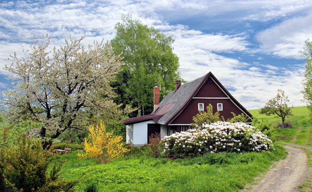 Small House In The Meadow In Spring